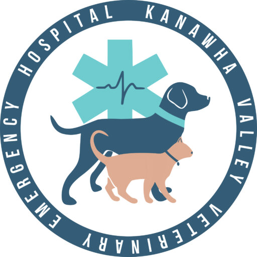 Kanawha Valley Veterinary Emergency Hospital